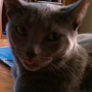 Meet your Posher, Anne